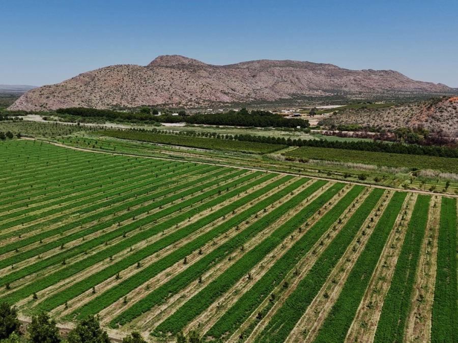 Commercial Property for Sale in Groblershoop Northern Cape